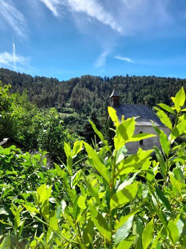 a view of a house in the middle of a forest at Hotel Klammwirt in Feldthurns