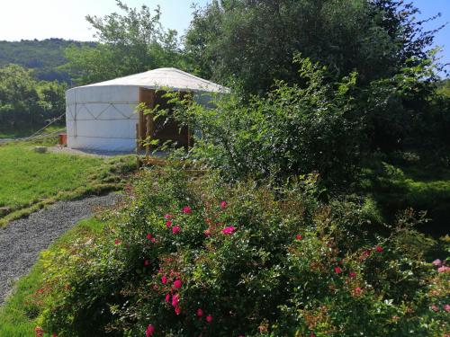 a greenhouse in the middle of a garden with flowers at Jurta Hotel Balatongyörök in Balatongyörök