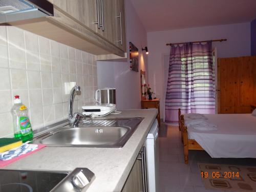 eine Küche mit einer Spüle und einem Kühlschrank in der Unterkunft Villa Anneta in Vitalades