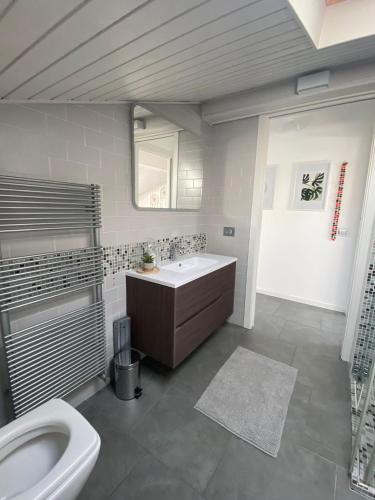 a bathroom with a sink and a toilet at La Garçonniérre del Lago Maggiore in Nebbiuno