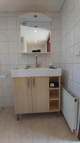 a bathroom with a sink and a mirror at Cosy Garden familie chalet tot 4 personen op de Veluwe Bungalowpark De Kern - All inclusive in Putten