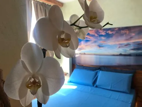 Dream & Relax Villa Fiore photo 6