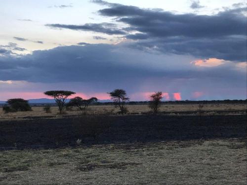 Gallery image of Serengeti Sound of Silence in Serengeti National Park