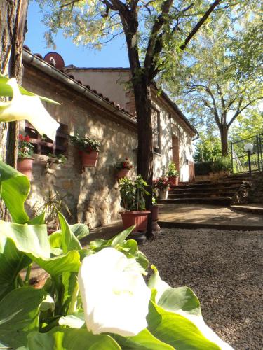a house with plants in front of a building at Agriturismo Villino del Grillo in San Gimignano