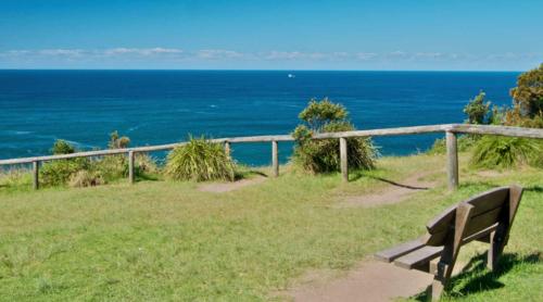 a bench sitting on the grass near the ocean at Bay House Motel in Bateau Bay