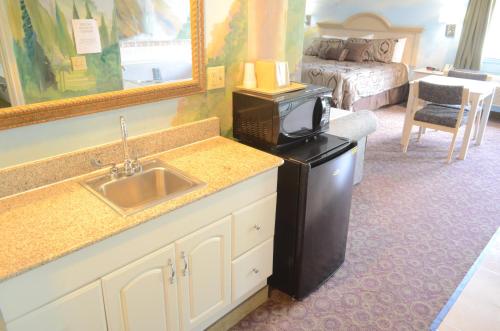 a bathroom with a sink and a tv in a room at Scottish Inn and Suites NRG Park/Texas Medical Center - Houston in Houston
