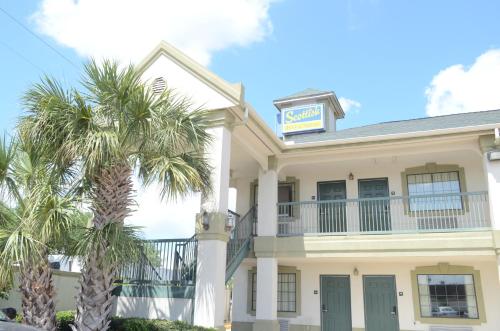 a building with a palm tree in front of it at Scottish Inn and Suites NRG Park/Texas Medical Center - Houston in Houston