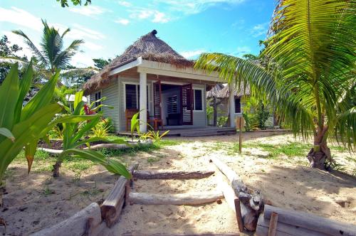 a small house on the beach with a palm tree at Blue Lagoon Beach Resort in Nacula Island