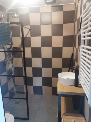 een badkamer met een zwart-witte geruite muur bij B&B Tasty in Sneek