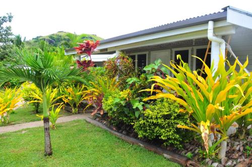 a house with a bunch of plants in front of it at Blue Lagoon Beach Resort in Nacula Island