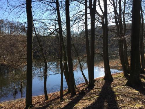a view of a river through the trees at Hof Uhleck am Königsstuhl in Lohme