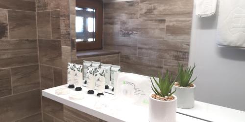 a bathroom with a sink with two potted plants on it at Center Diamond in Târgu-Mureş