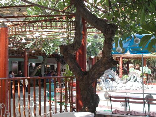 un árbol frente a un edificio con una fuente en First Hotel, en Ho Chi Minh