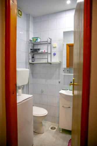a small bathroom with a toilet and a sink at Silver in Žarkovo