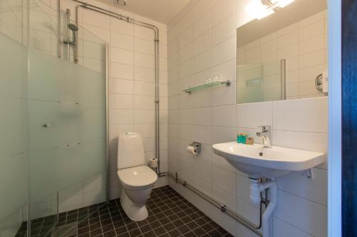 a bathroom with a toilet and a sink and a shower at Hotell Nyboholm in Ulricehamn