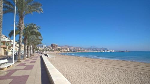 una playa con una fila de palmeras y el océano en Aleksandra Apartament Sant Pere, en El Campello