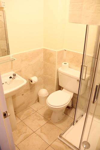 a bathroom with a toilet and a sink at Tralee Town Centre Apartments in Tralee