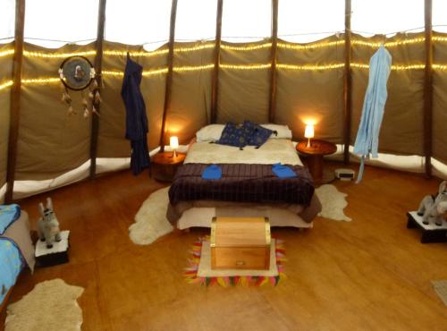 カイコウラにあるWacky Stays - unique farm-stay glamping rentals, FREE animal feeding toursのギャラリーの写真