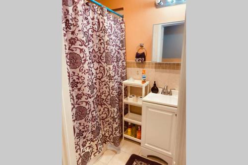 a bathroom with a shower curtain and a sink at 2 Bedroom Cozy Home Near EWR/NYC in Newark