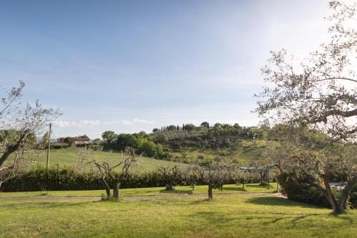 a field with trees and a hill in the background at Residenza Il Falchetto in Assisi