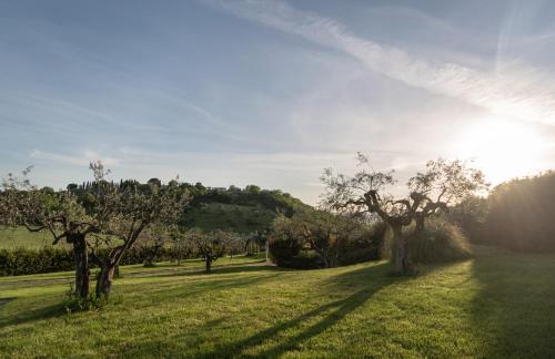 a field of grass with trees in the sun at Residenza Il Falchetto in Assisi