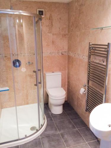 une salle de bain avec toilettes, douche et lavabo dans l'établissement Val Rive - Degas Apartment, à Dinan