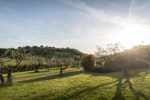 a field with trees and a hill in the background at Residenza Il Falchetto in Assisi