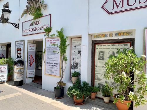 a store front with potted plants in front of it at Ideal Apartamento - Guadalest in Guadalest