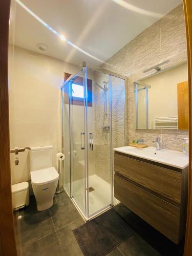 a bathroom with a shower and a toilet and a sink at La Casona del Gallo in Ábalos