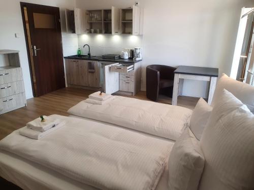 ein Wohnzimmer mit einem Sofa und einer Küche in der Unterkunft Apartments Oberschlesien in Görlitz
