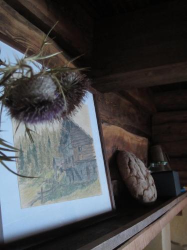 ein Bild eines Gemäldes auf einem Regal mit einer Pflanze in der Unterkunft Stadel Soussun in Champoluc