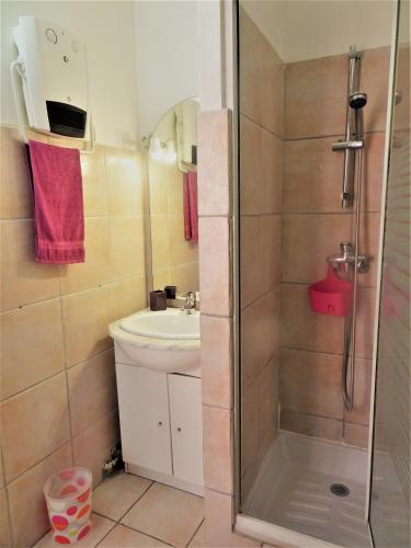 a bathroom with a shower and a sink at Maison De Village in Saint-Raphaël