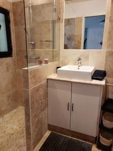 une salle de bain avec un lavabo et une douche dans l'établissement T2 Six-fours chez Anne et Ollivier, à Six-Fours-les-Plages