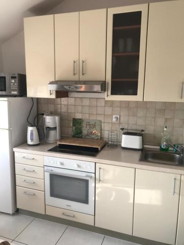 Kuchyň nebo kuchyňský kout v ubytování Apartment Marie