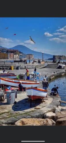 La dimora dei borboni