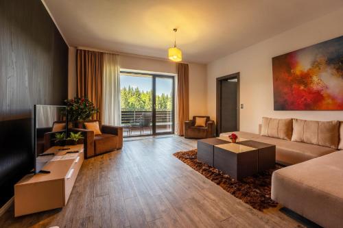 a living room with a couch and a tv at SILVER MOUNTAIN - ANA'S Apartments in Poiana Brasov