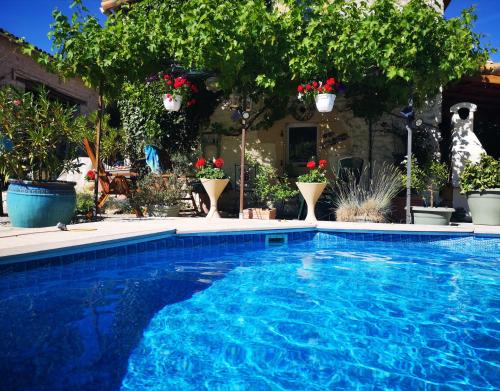 a blue swimming pool with potted plants and trees at La Maison Verger in Limalonges