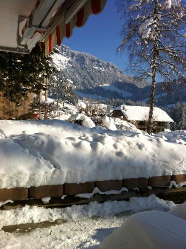 a yard covered in snow with a mountain in the background at Chalet Erika in Eriz