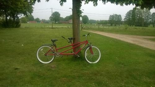 a red bike chained to a tree in a field at Villa Vigor in Peer
