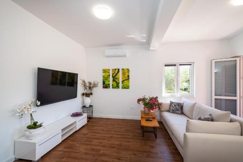 Apartments Junior