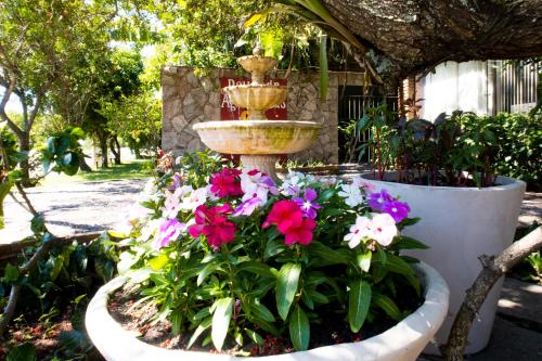 a fountain in a garden with flowers in it at Pousada Aguas Claras in Búzios