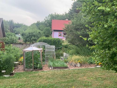 Mäekalda Guesthouse Garden Villa with private saunaにある庭