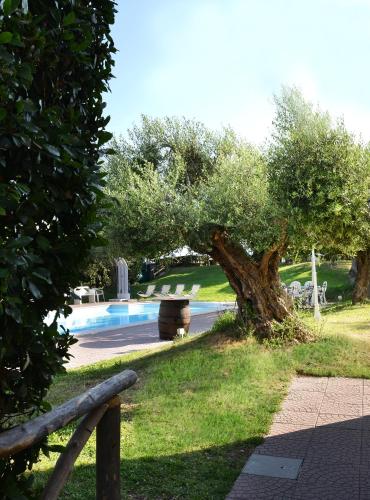 a garden with a tree and a swimming pool at B&B Nonna Teresa in Gragnano