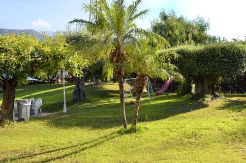 a palm tree in a park with a slide at B&B Nonna Teresa in Gragnano