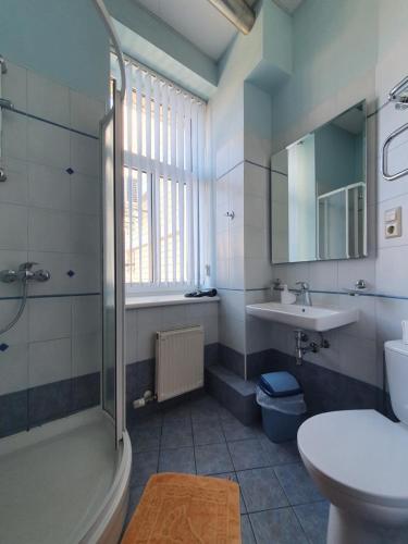 a bathroom with a shower and a sink and a toilet at Avanta in Liepāja