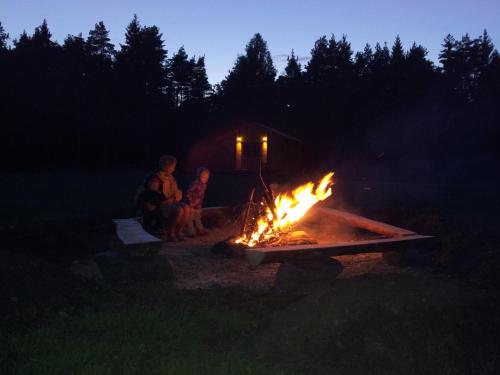 a group of people sitting around a fire at night at Männiste Holiday Home in Hiievälja