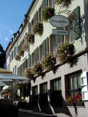 un edificio con macetas al costado. en Hotel Kriemhilde, en Worms