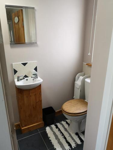 La salle de bains est pourvue de toilettes, d'un lavabo et d'un miroir. dans l'établissement En-suite Bedroom in a quiet bungalow, à Porthmadog