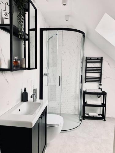 a bathroom with a shower and a toilet and a sink at Apartamenty KAHOY balia pomost Kozin in Kozin
