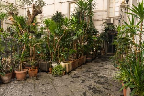 B&B Pantarei Napoli photo 153